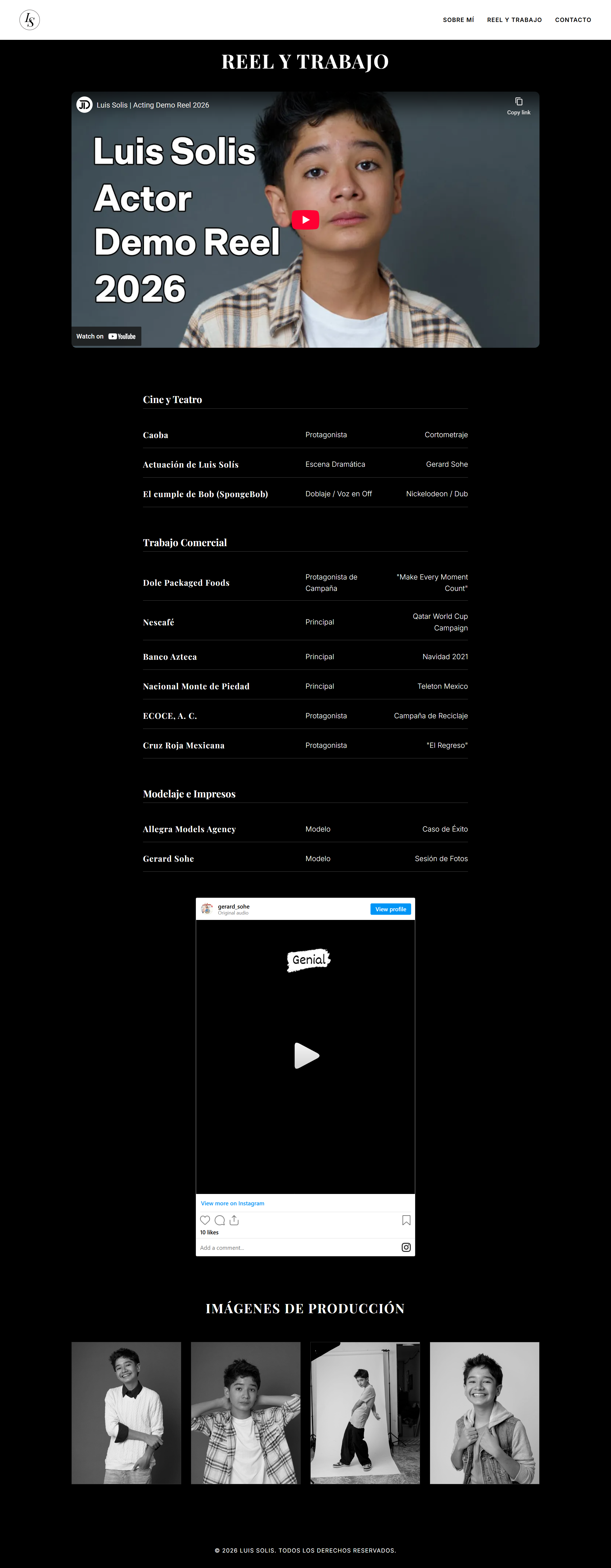 Website design for Luis Solis