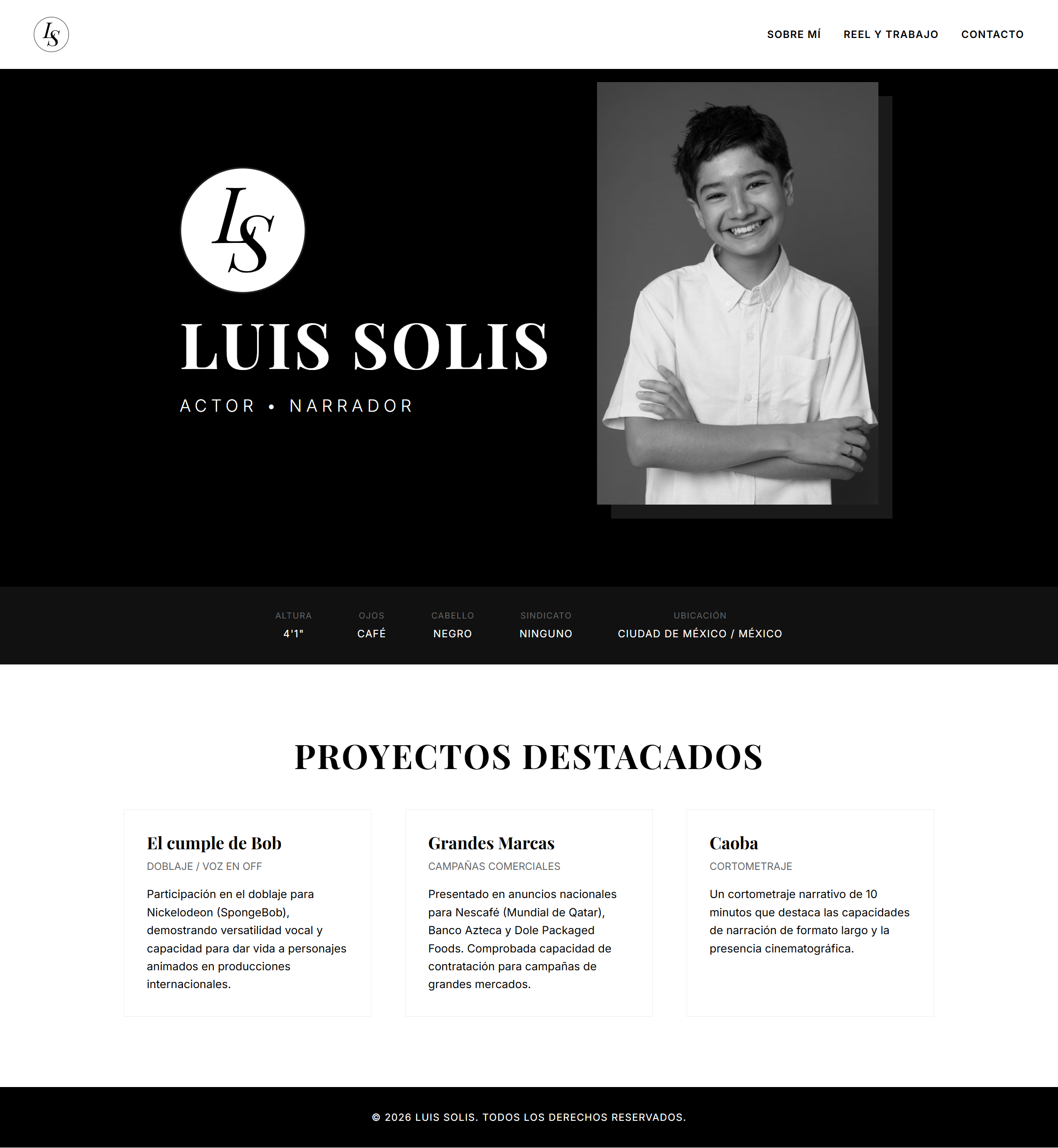 Website design for Luis Solis